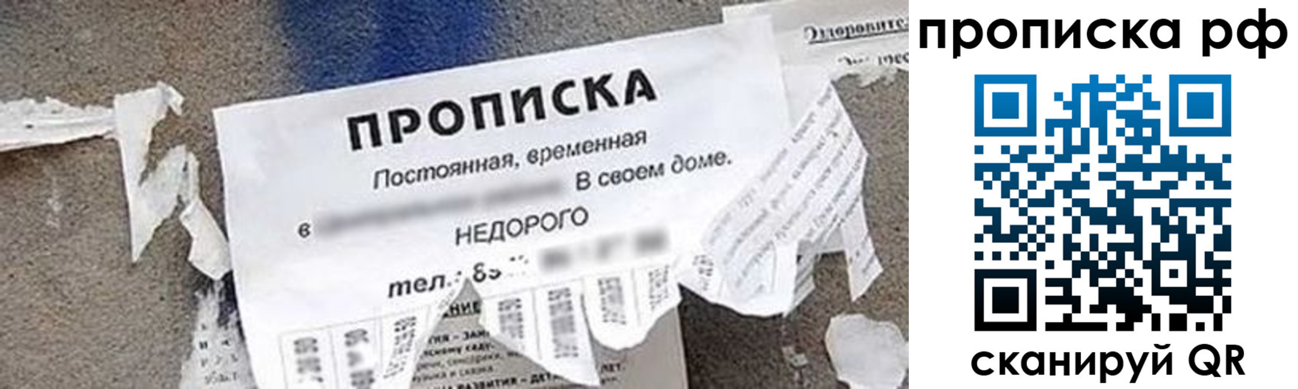 где прописаться в Борисоглебске